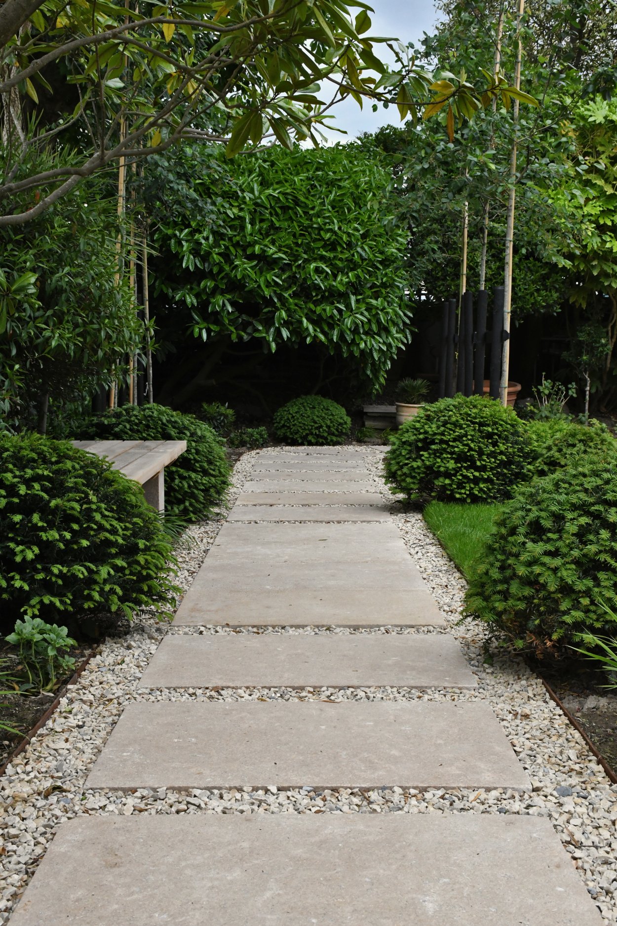 Taxus Dome