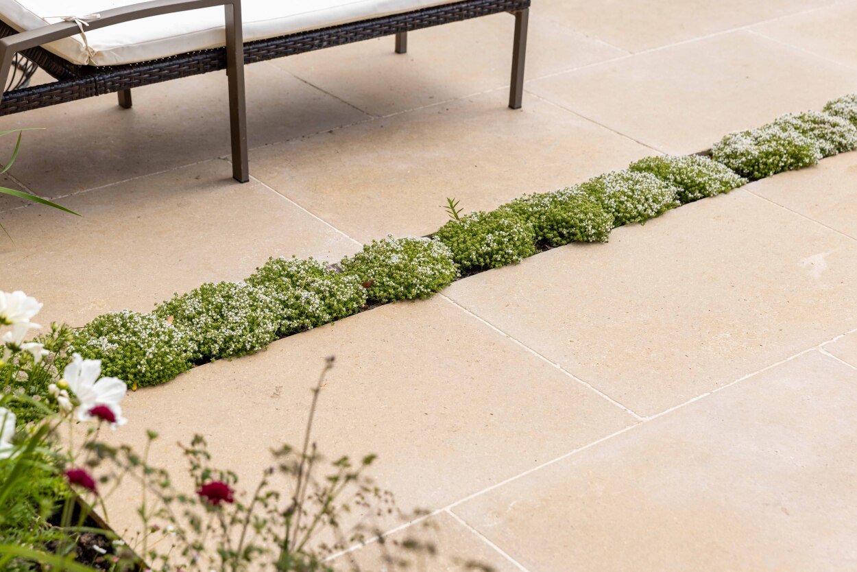 Planting Rill