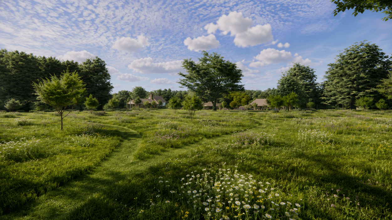 Wildflower Meadow