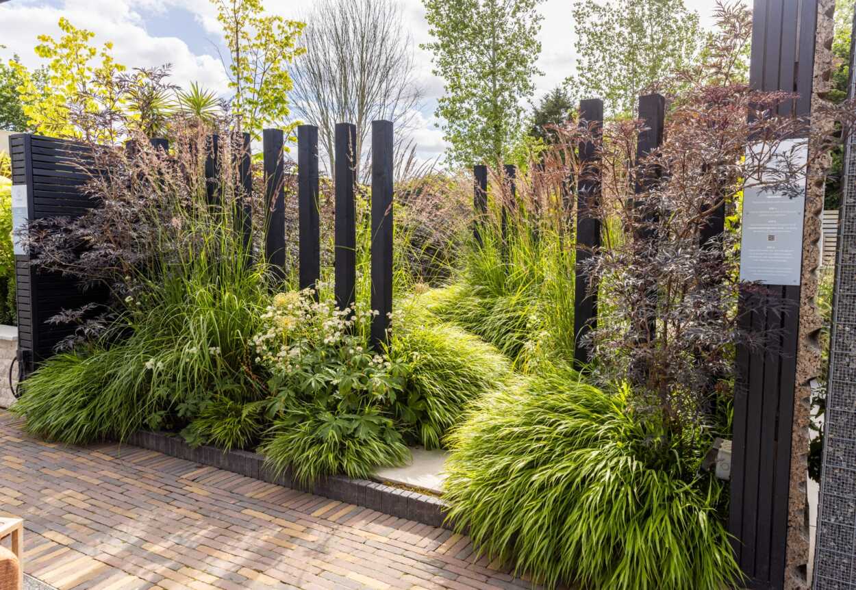 Show Garden