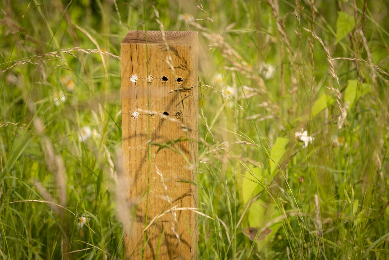 Bug hotel