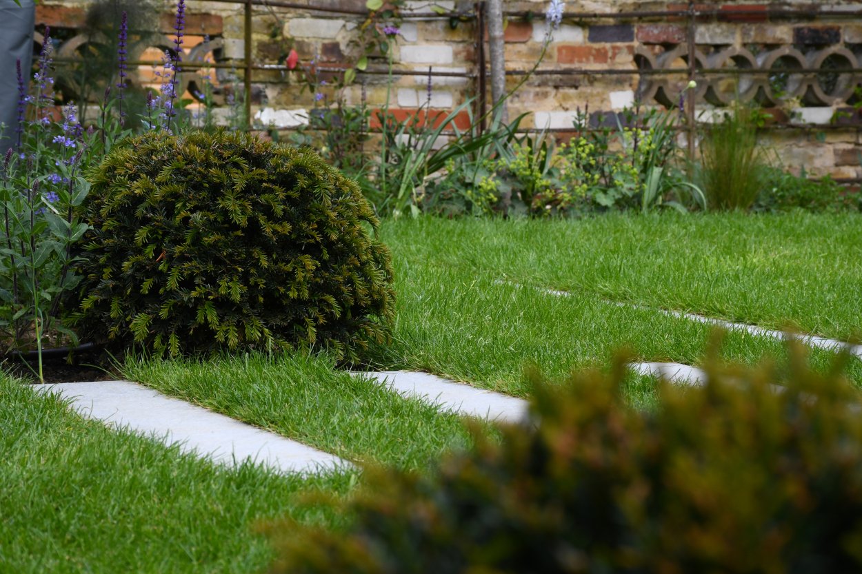 Topiary Domes