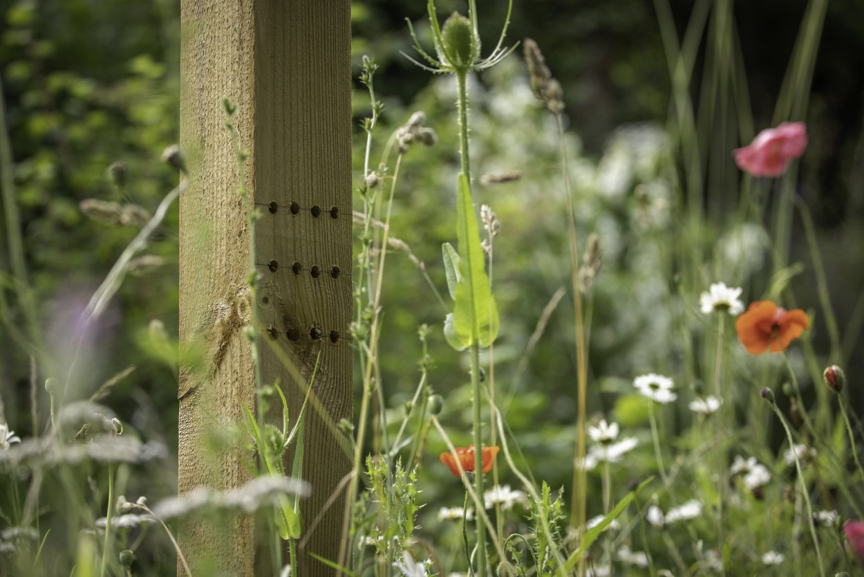 bug hotel