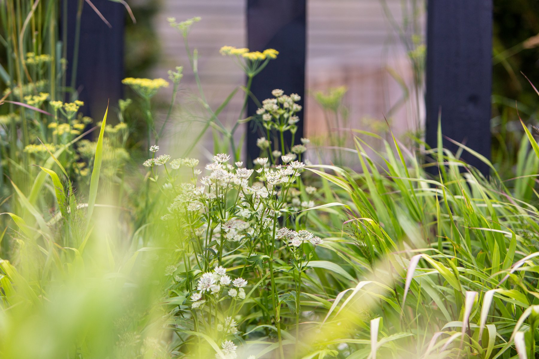 Corker Show Garden Image