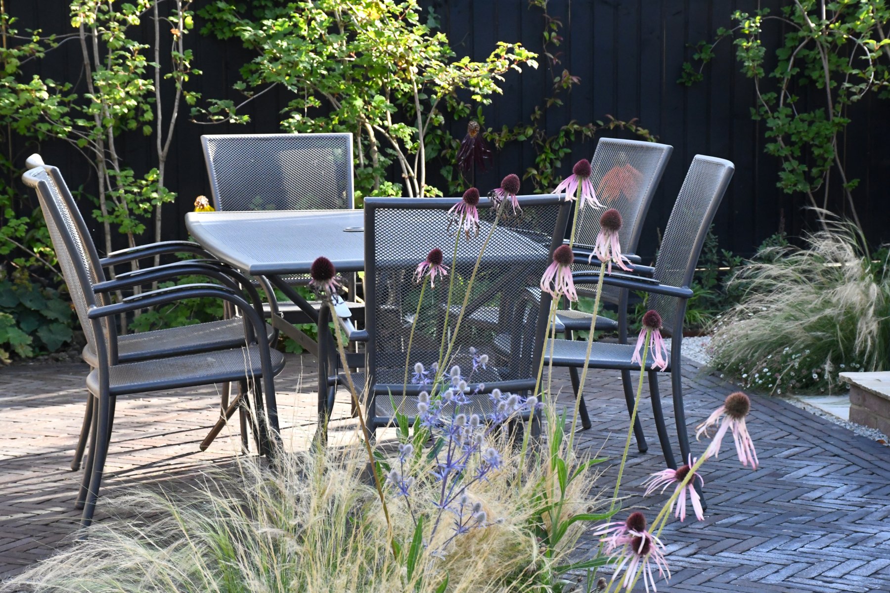 Swimming Pool Garden Image