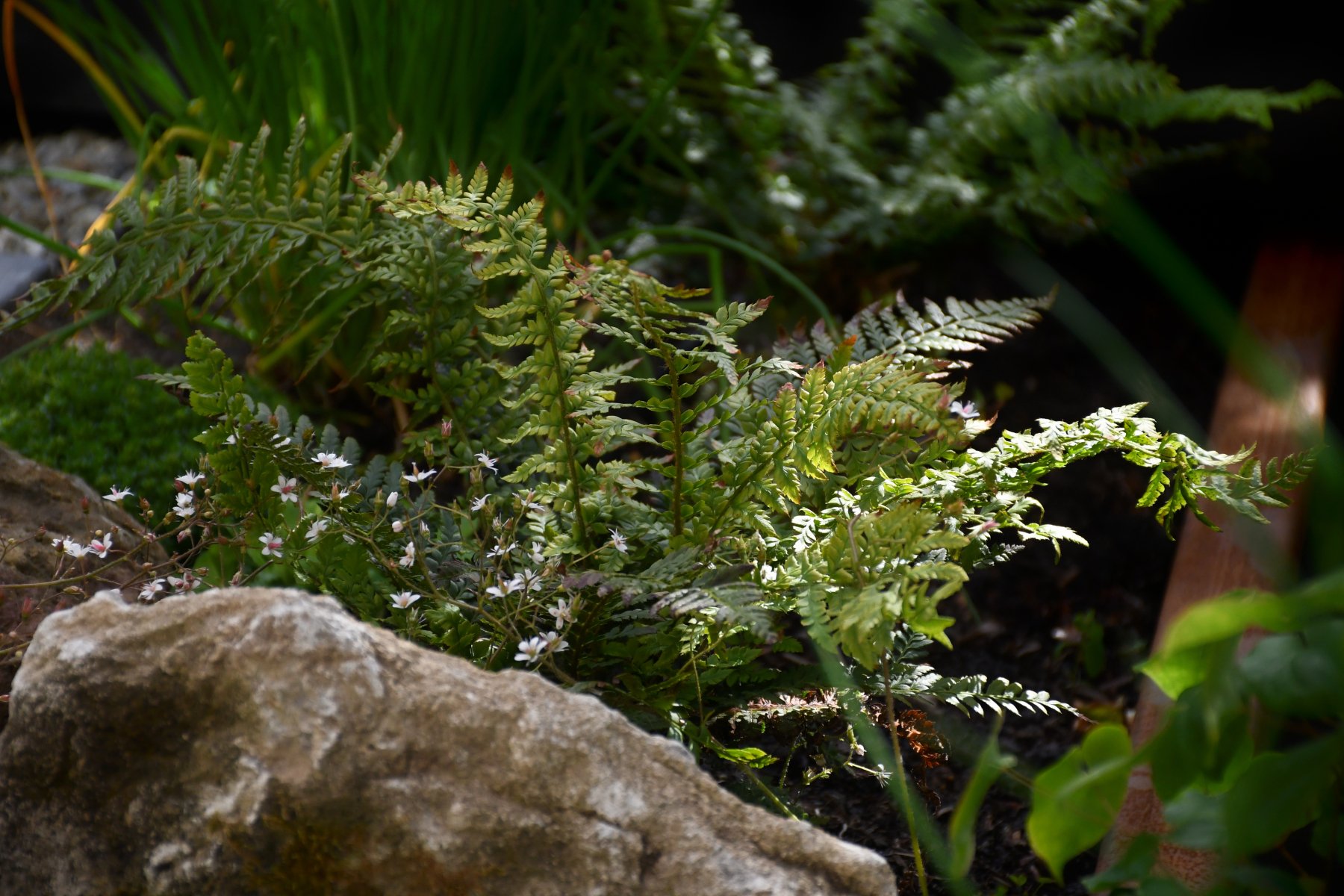 Secluded Yoga Retreat Image