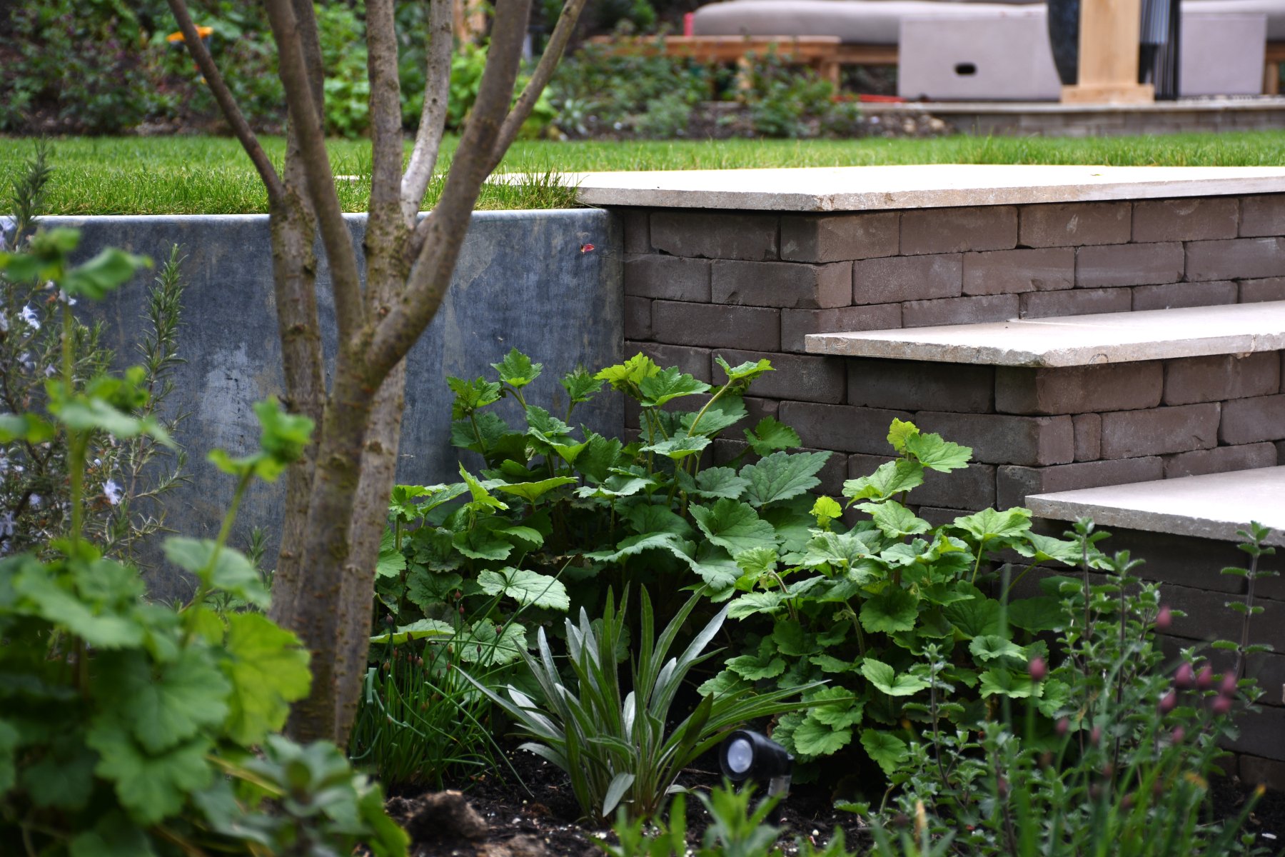 Current Project Image